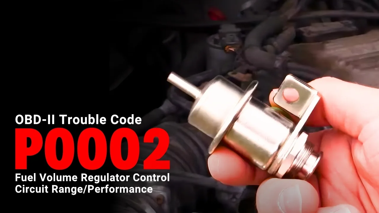 p0002
