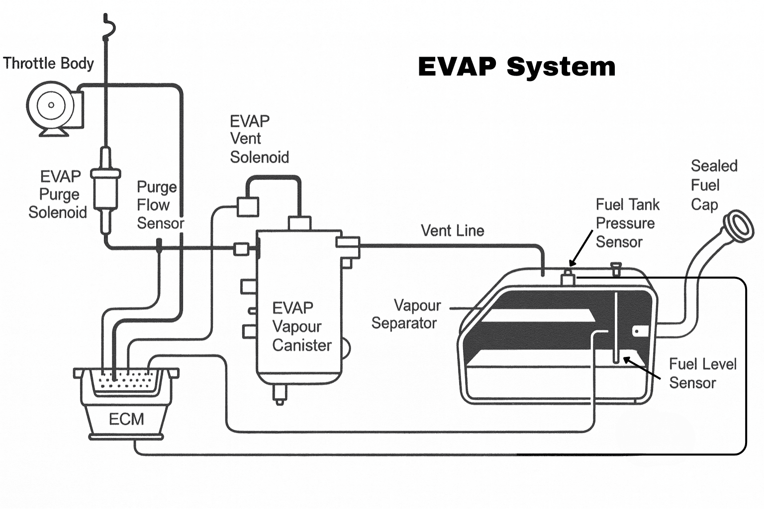 EVAP Sensor