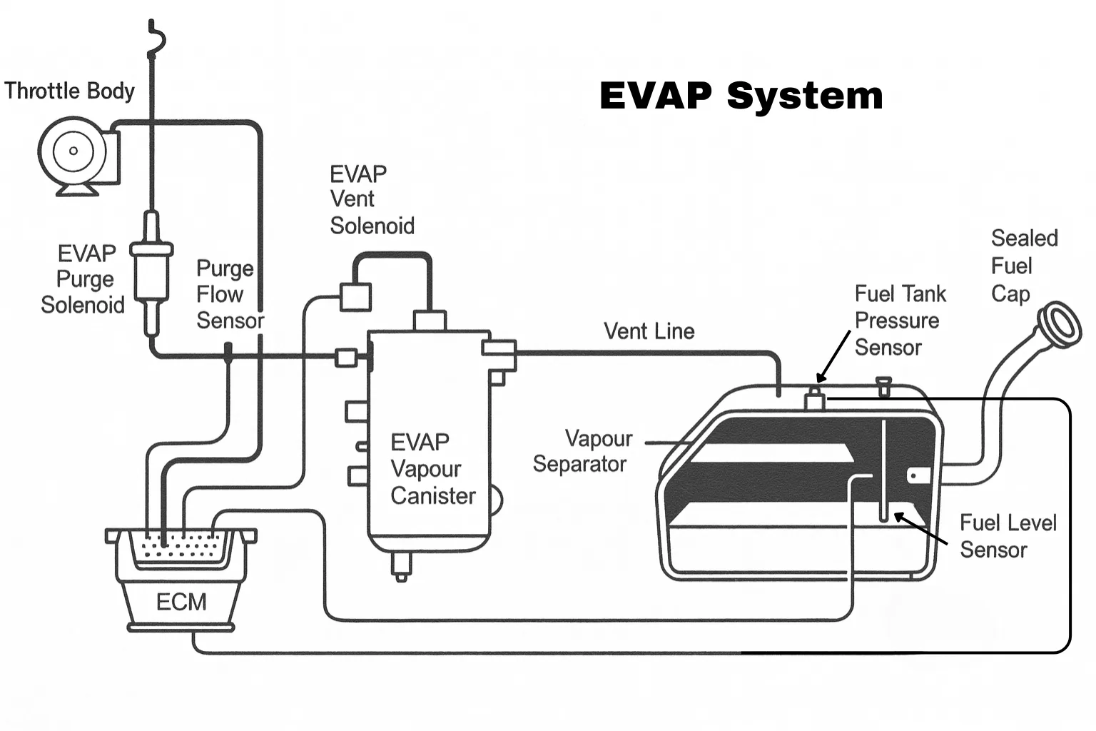 EVAP Sensor